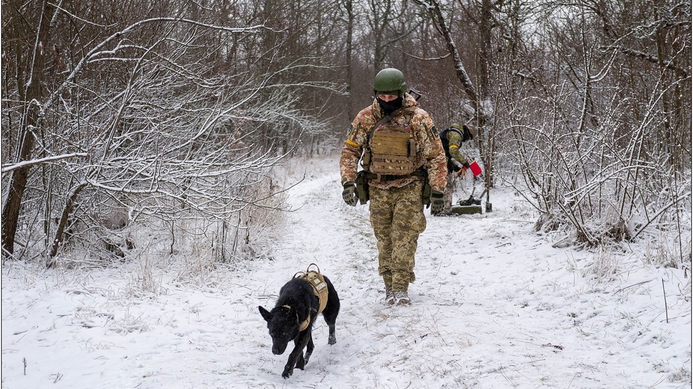 На Одещині під час навчань службовий пес знайшов бойовий снаряд