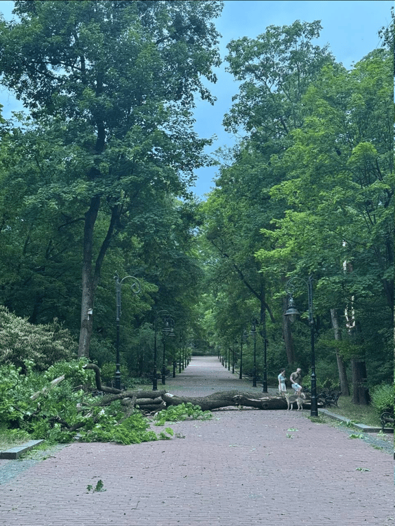 Шквальний вітер та потужна гроза накрили Львів — відео - фото 1