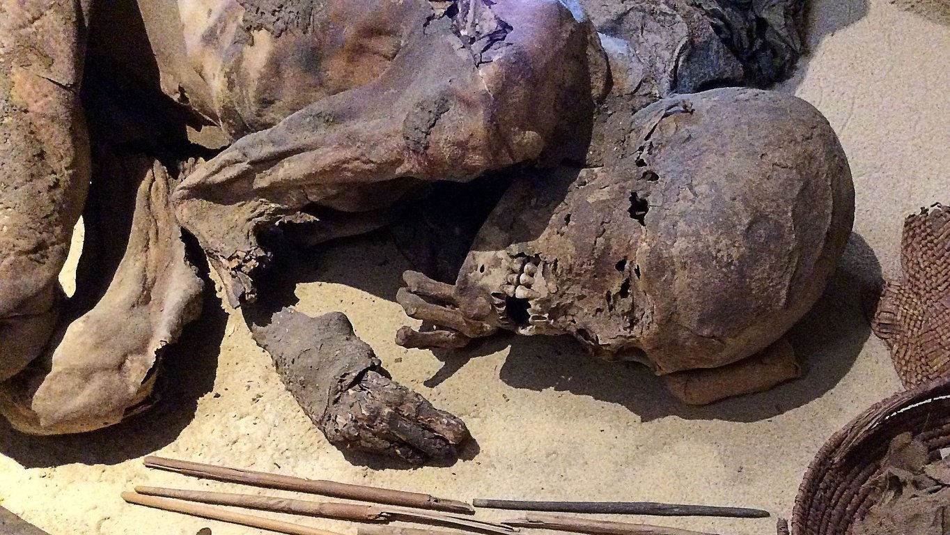 Раскрыт секретный рецепт, подаривший древнеегипетским мумиям вечную жизнь