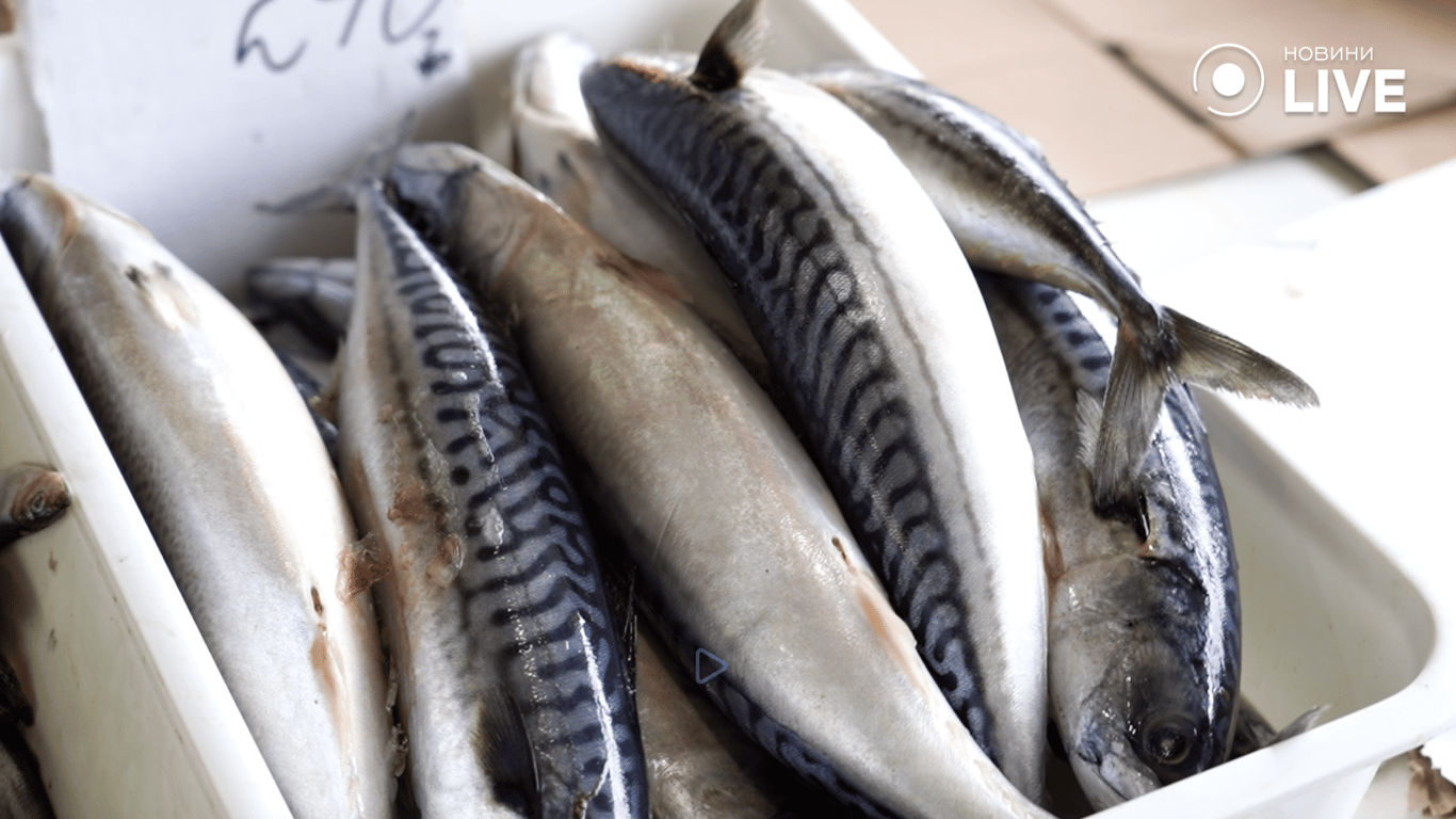 Риба на прилавку