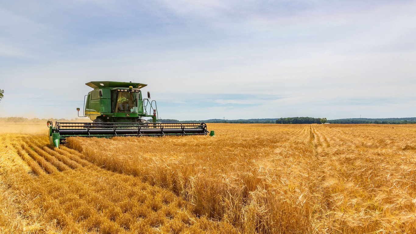 Цены на зерновые в Украине по состоянию на 2 сентября 2023 года