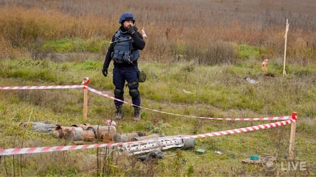 В ГСЧС назвали впечатляющую цифру обезвреженных взрывчаток в Киевской области - 285x160