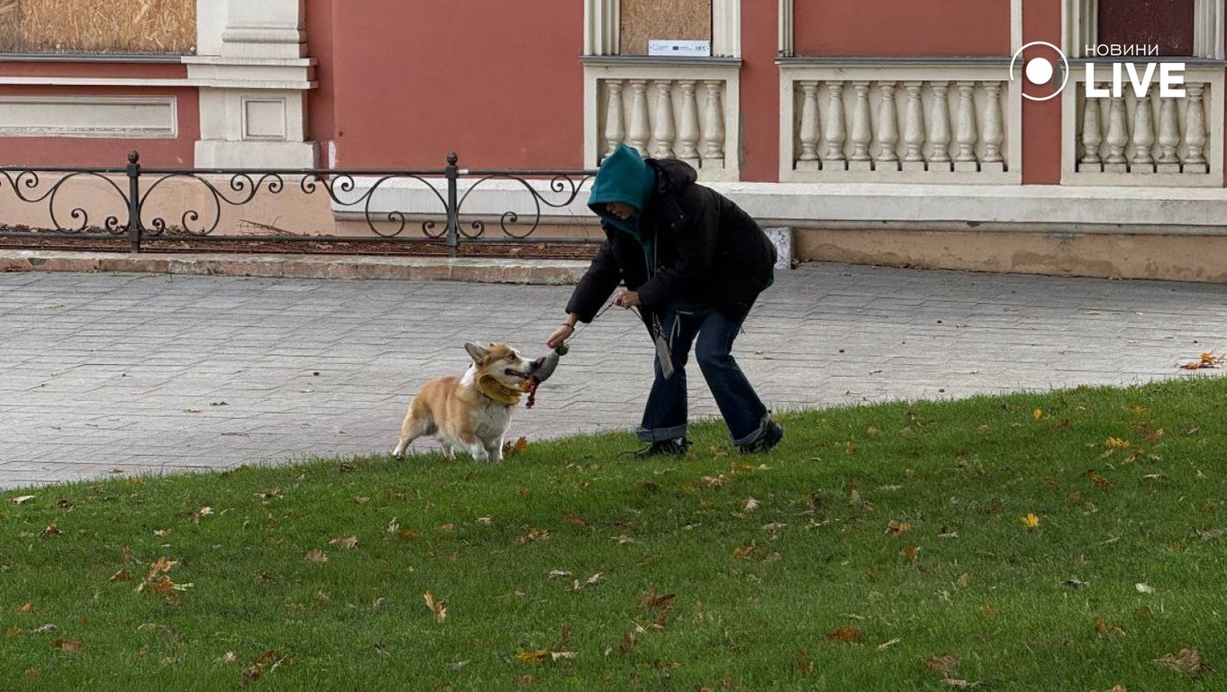 Фоторепортаж осінніх вулиць Одеси