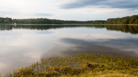 Всего в 20 км от Луцка спряталось озеро с кристальной водой - 285x160