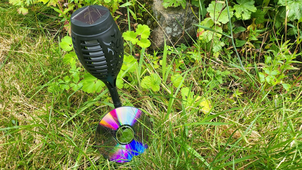 Диск в саду для отпугивания птиц