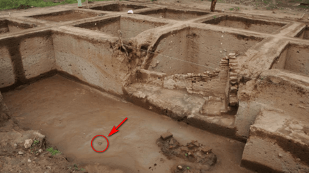 В Индии ученые нашли древний кинжал возрастом около 2500 лет: уникальное фото - 285x160