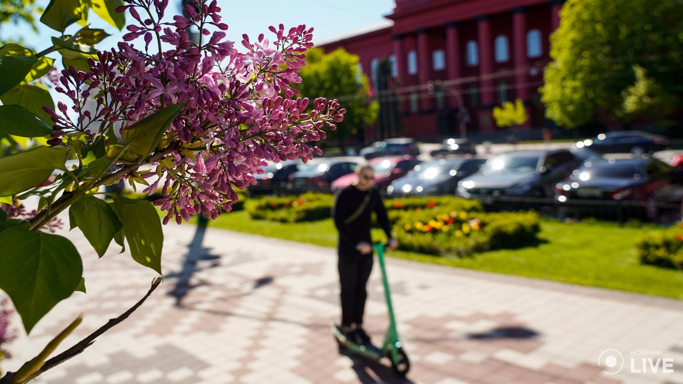 Где в центре Киева можно пофотографироваться в цветущих деревьях