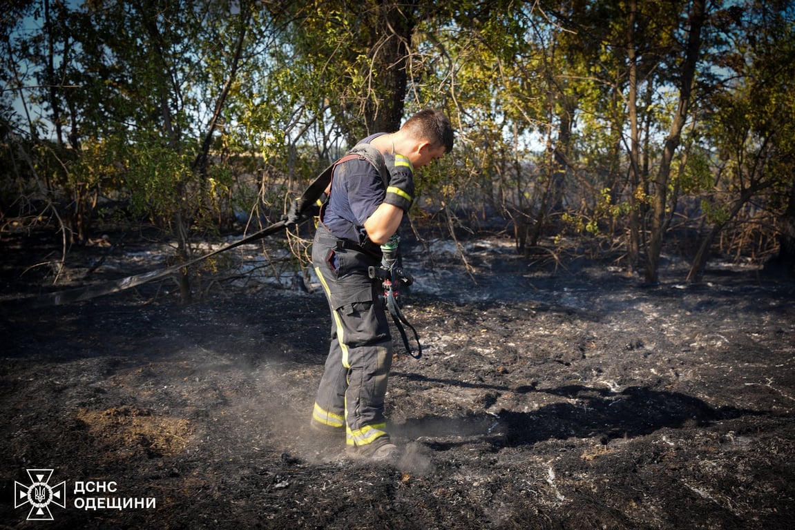 Пожежа під Одесою — згоріло 10 гектарів землі - фото 4