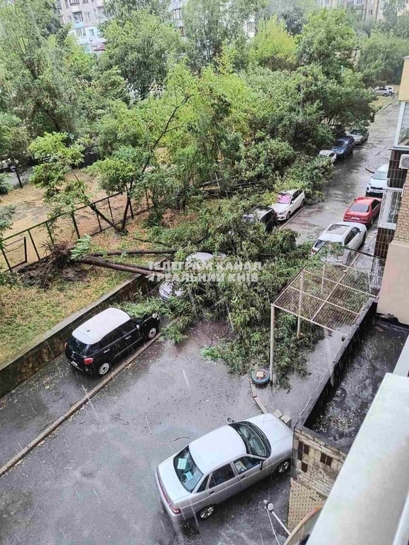 Київ накрила негода — повідомляють про затоплені вулиці та повалені дерева - фото 2