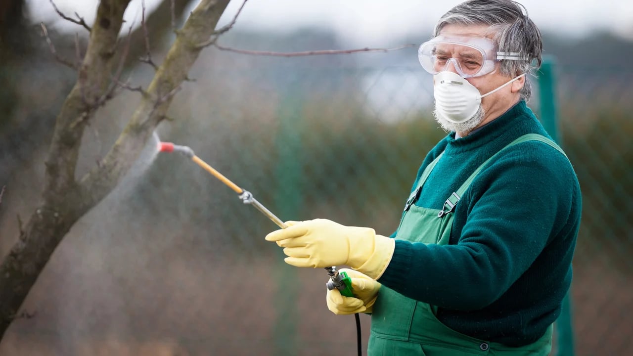 Чому обробка саду навесні вкрай важлива