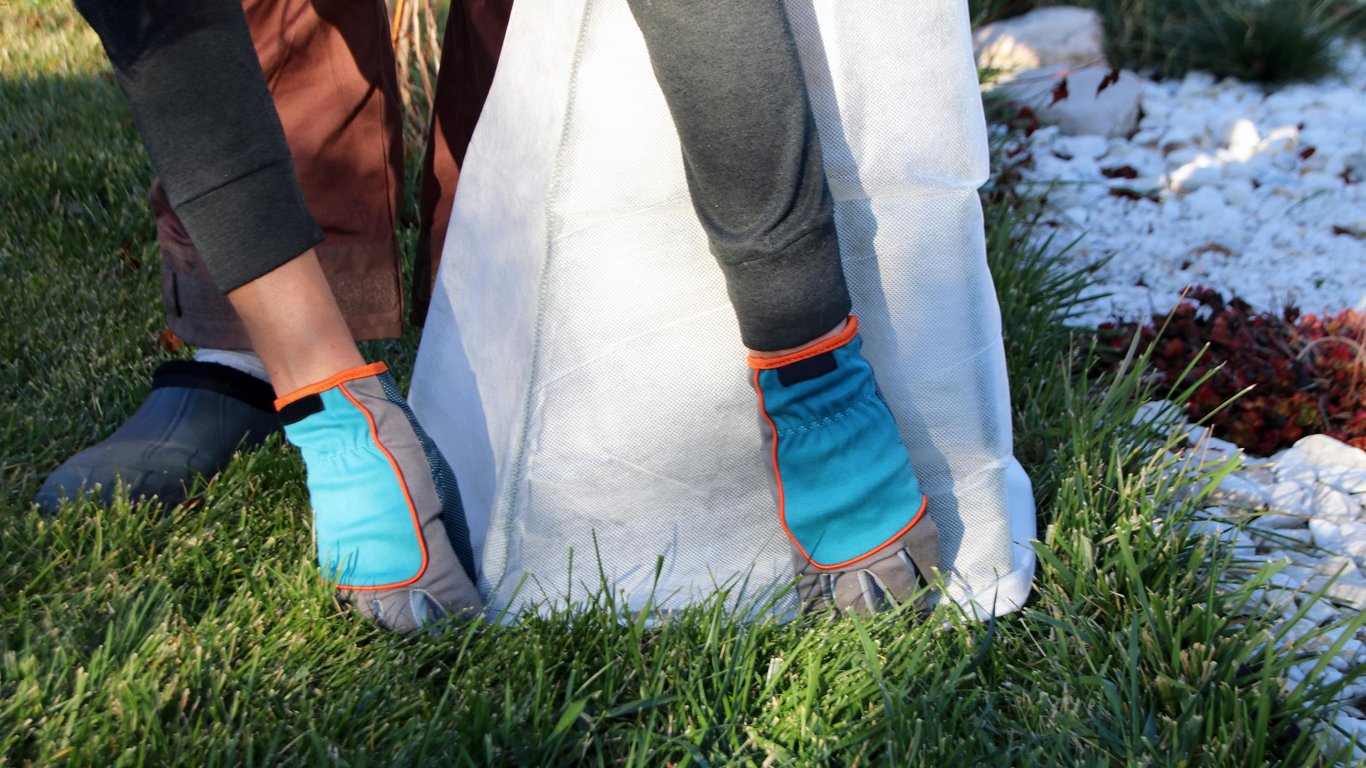 Укрытие дерева