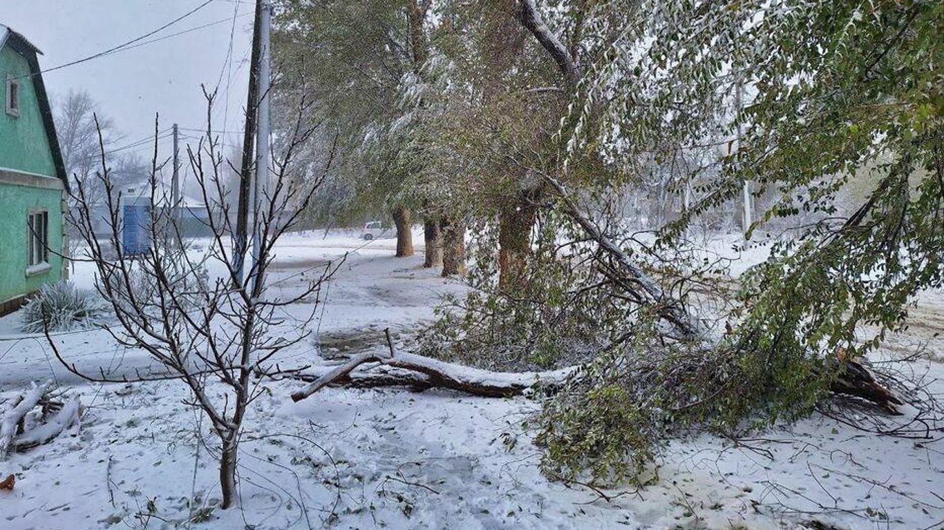 В плену снегопада — более ста тысяч жителей Одесчины остаются без света
