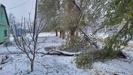 У полоні снігопаду — понад сто тисяч мешканців Одещині залишаються без світла - 285x160