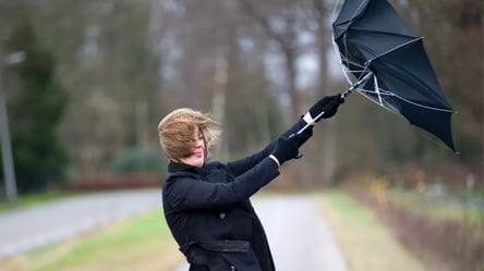 Шквальний вітер сягатиме 20 м/с — синоптики спрогнозували погоду в Україні на сьогодні - 290x166