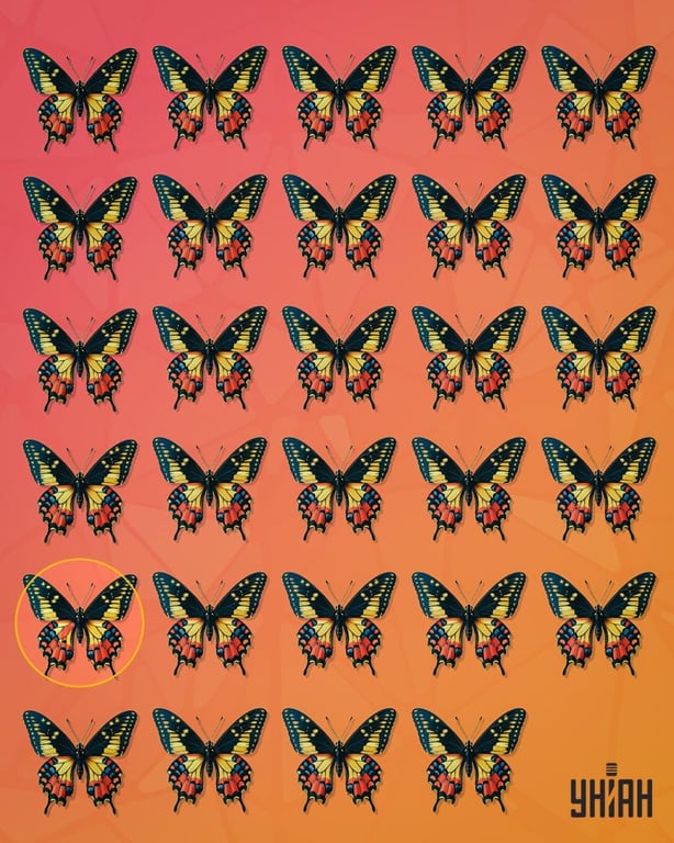 Правильный ответ на визуальную загадку