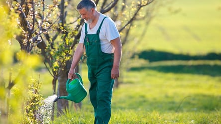 Як підготувати сад до зими — пʼять простих, але важливих кроків - 285x160