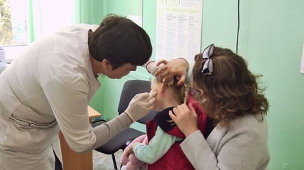 Нашестя кліщів на Львівщині — епідеміологи попереджають про небезпечну хворобу - 285x160