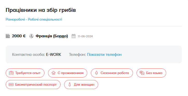 Зарплата 2 000 євро — українок запрошують на збір печериць у Франції - фото 1