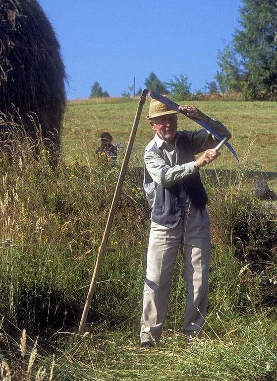 Як правильно косити траву — поради та інструкції - фото 1
