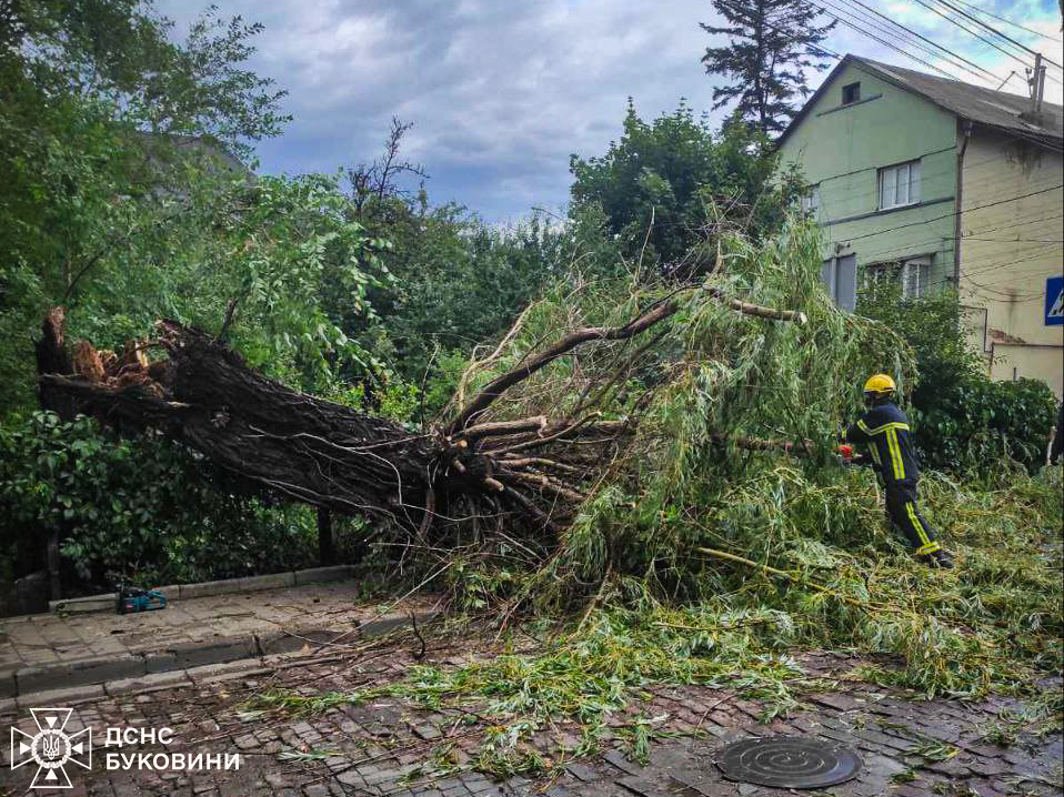Фото последствий непогоды в Черновицкой области