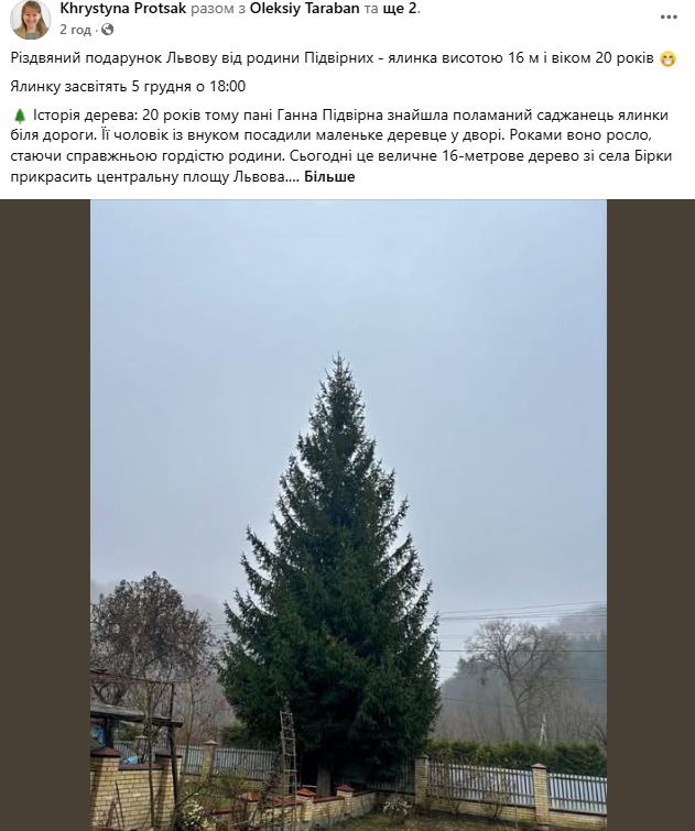 Ялинка у Львові 2025