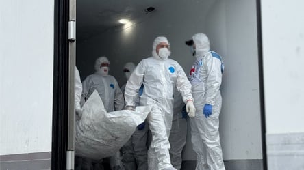 В Украину вернули тела 528 украинских воинов - 285x160