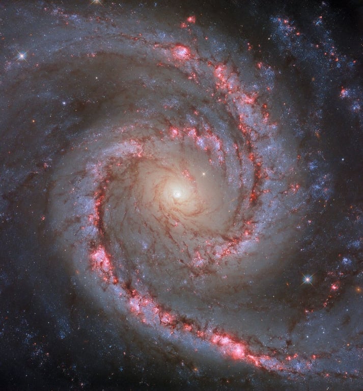 Галактика NGC 1566, известная, как "Испанская танцовщица"