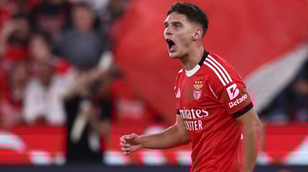 Лідер збірної України повернеться на поле раніше, ніж очікувалося - 285x160