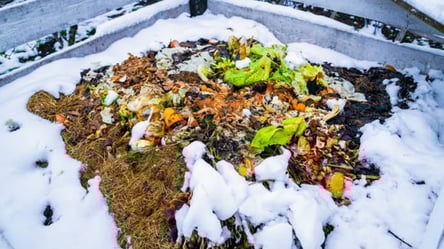 Замерзлий компост знову працює — перевірений зимовий метод - 285x160