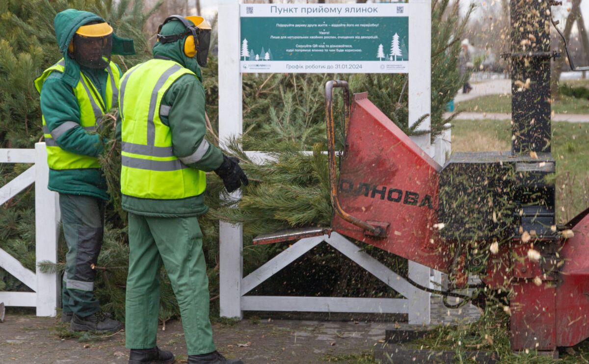 Де утилізувати ялинку в Києві у 2025 році