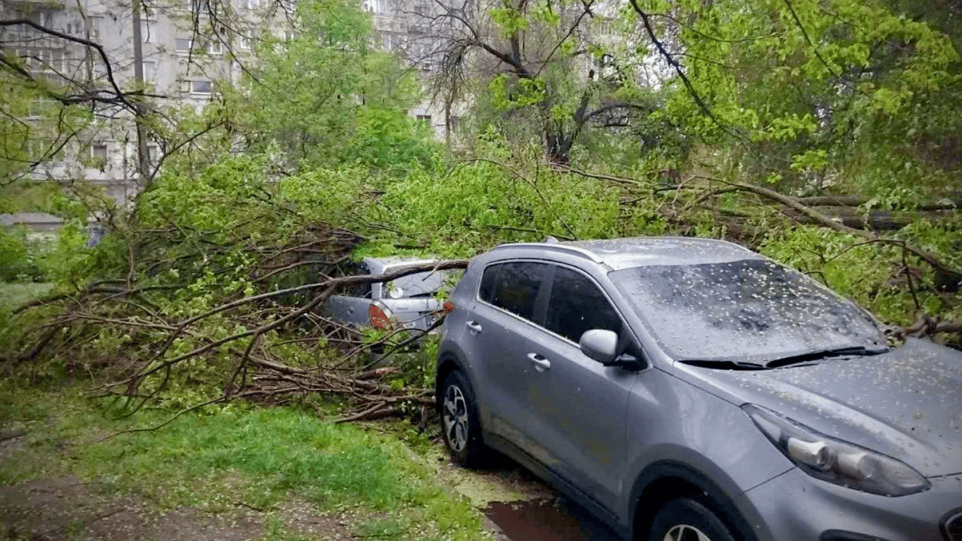 Деревопад и разбитые автомобили — в Одессе непогода уже наделала беды