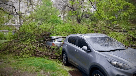 Деревопад та побиті автівки — в Одесі негода уже наробила лиха - 285x160