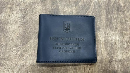 Чоловік підробив посвідчення добровольця ТрО: рішення суду - 290x166
