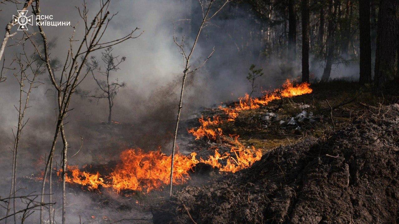 Пожежа у Чорнобильській зоні