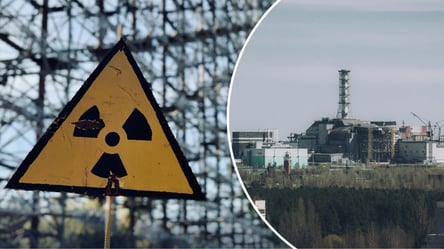 В Чернобыле обнаружили живой организм, способный "питаться" радиацией - 285x160