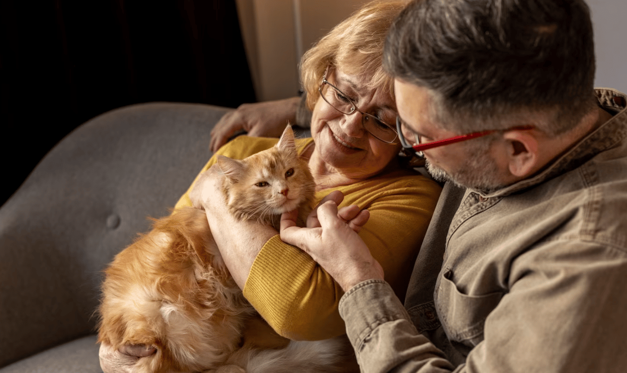 Мужчина и женщина, которые держат рыжего кота на руках