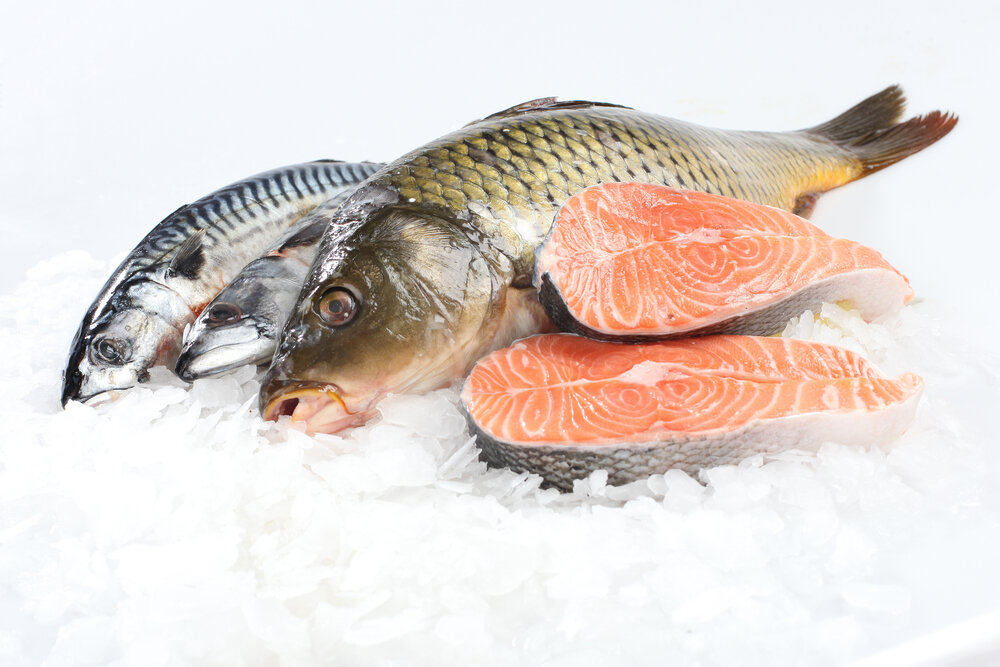 Морская рыба