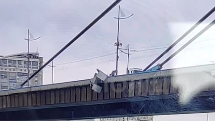 В Киеве задержали водителя, который на Северном мосту выбросил в Днепр металлическую конструкцию - 285x160
