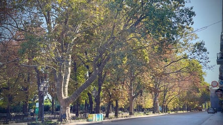 Приморський бульвар в Одесі відкриють для прогулянок: подробиці - 285x160