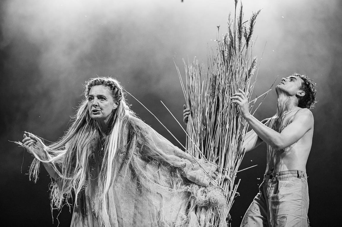 Вистава Давида Петросяна "Земля". Фото: instagram/petr.san_d