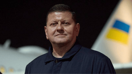 Залужний привітав українських медиків - 285x160