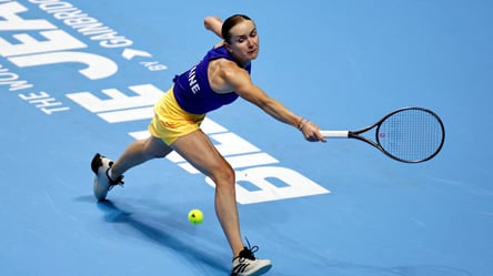 Свитолина упустила победу в драматичном матче с Паолини - 285x160