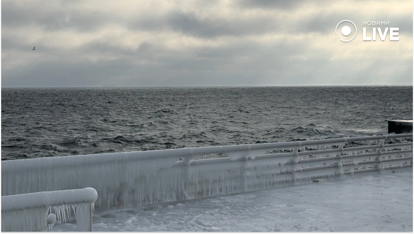 Зимова краса на пляжі Одеси