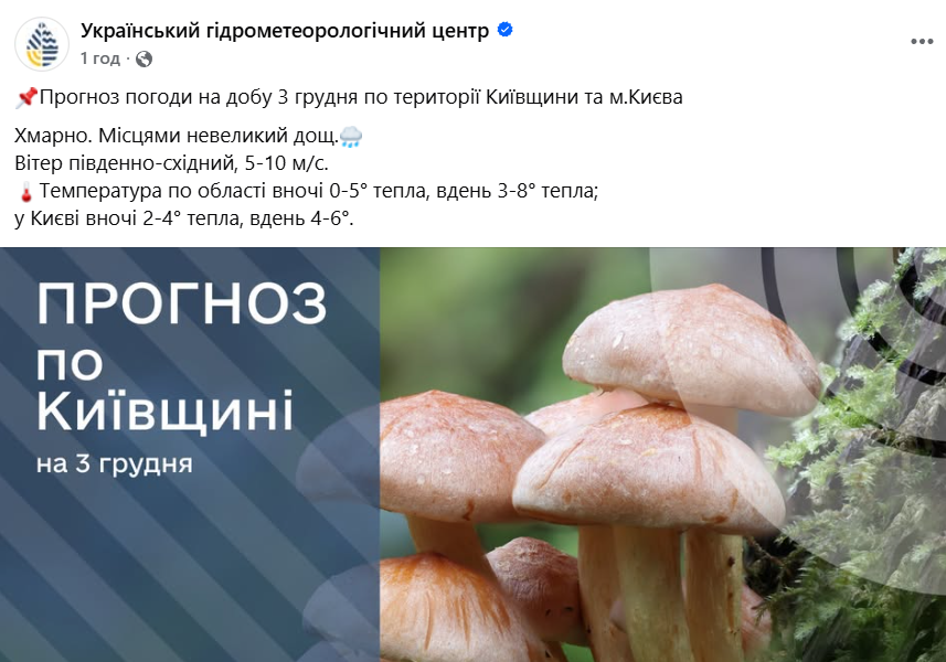 Погода в Києві 3 грудня