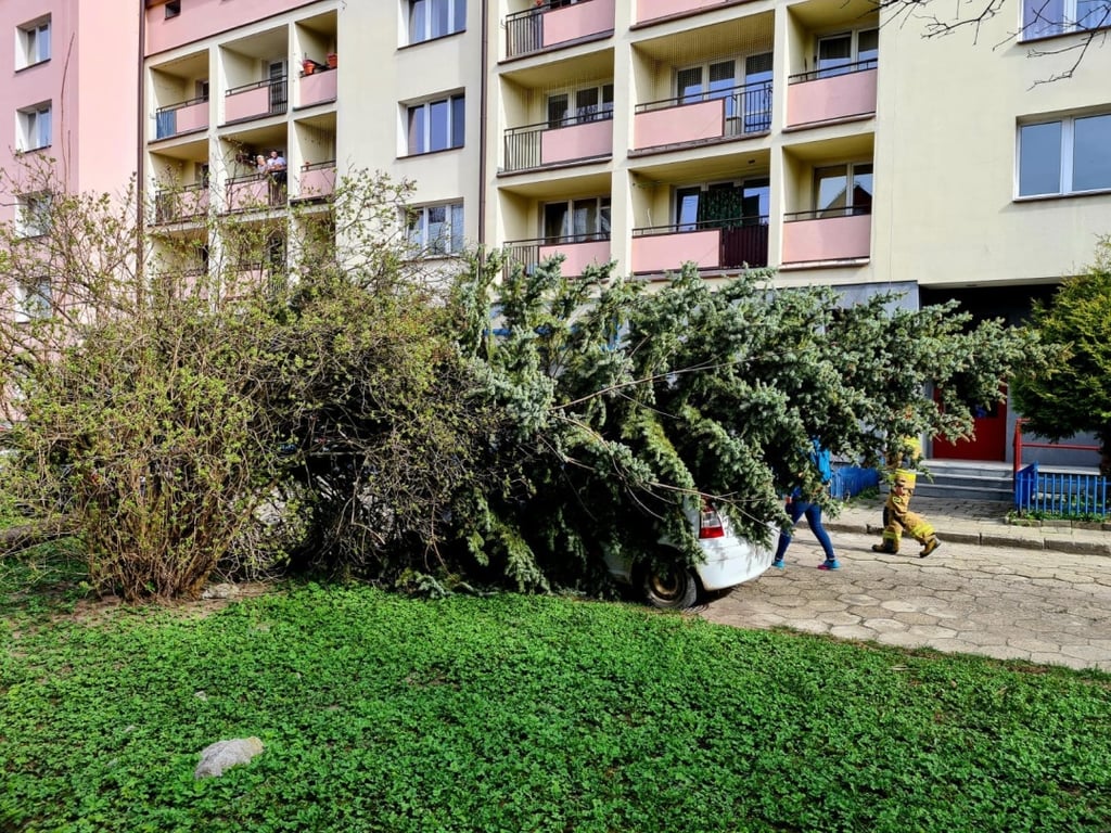 Наслідки смертельної негоди в Польщі