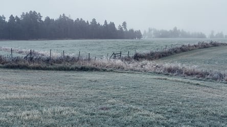 Оформлення паю — кому з подружжя краще бути власником землі - 285x160