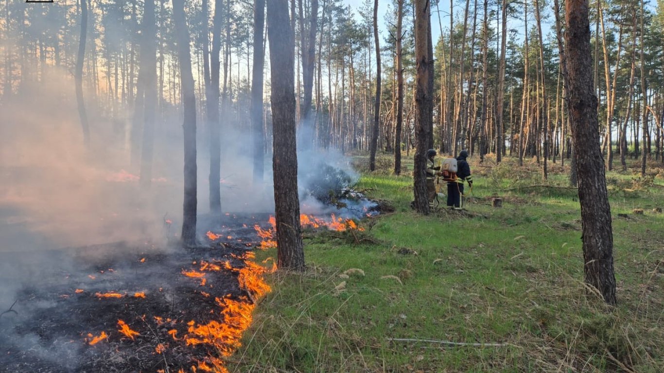 Угроза возгорания — в Одессе объявлен чрезвычайный уровень пожарной опасности