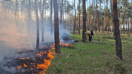 Угроза возгорания — в Одессе объявлен чрезвычайный уровень пожарной опасности - 290x166