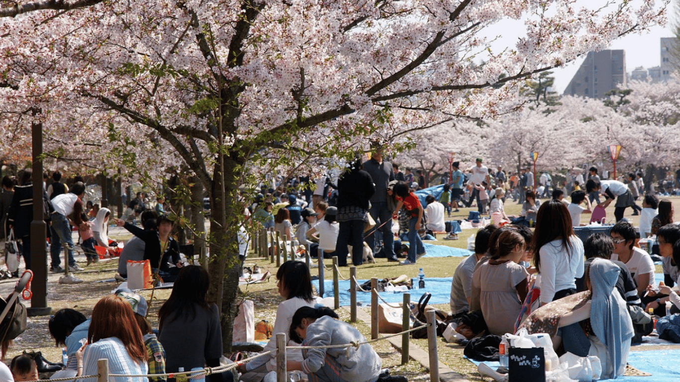 Tips for tourists — Don't wear this in Japan