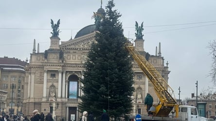 У Львові встановлюють новорічну ялинку — коли буде відкриття - 290x166